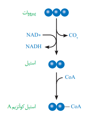 d04e1d93-2bce-4ac9-b5a1-3fd1cf36d584-image.png