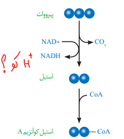 b5dd43b0-f9b7-4fbc-8ad9-939f627a45c4-image.png