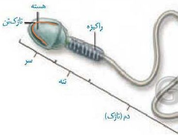 IMG_۲۰۲۴۰۲۲۲_۲۳۰۸۰۷.jpg