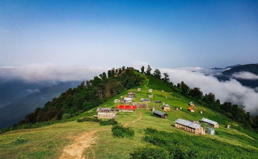 Talesh-North-Forest.jpg