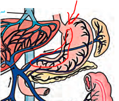 edca12db-e5e5-48cf-86cc-b61516acedfe-image.png