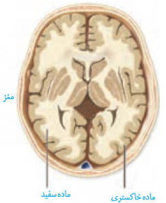 190d8c23-45bd-40fc-a6e1-9d0ea557a23c-image.png