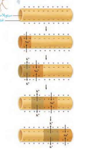 134f71e4-80a6-413b-8872-9110e4c0a28b-image.png