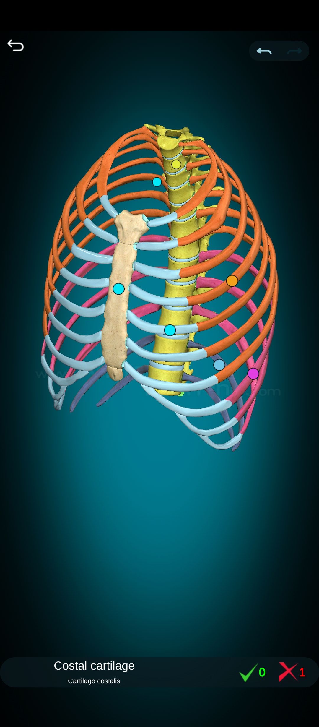 Screenshot_۲۰۲۴-۰۸-۲۵-۱۱-۴۹-۱۳-۹۴۶_com.AnatomyLearning.Anatomy3DViewer3.jpg