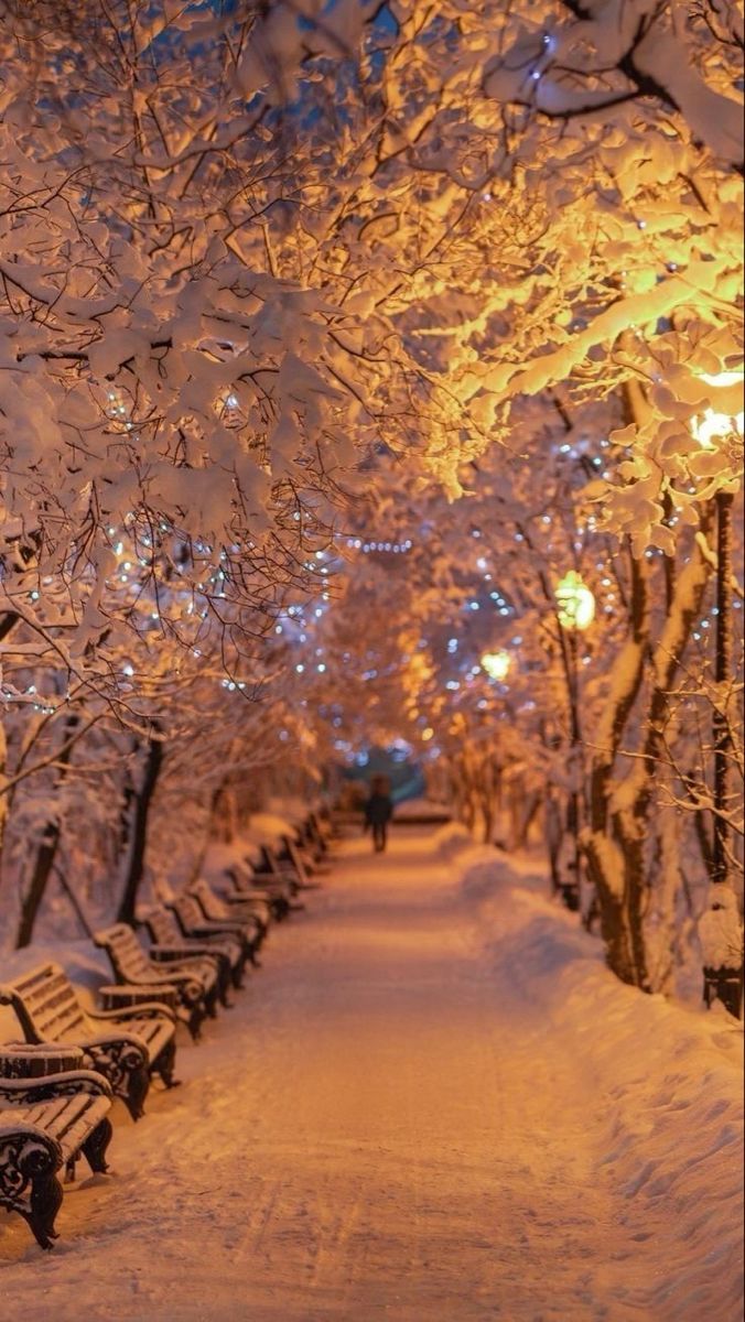 Christmas Wallpaper Scenery.jpg