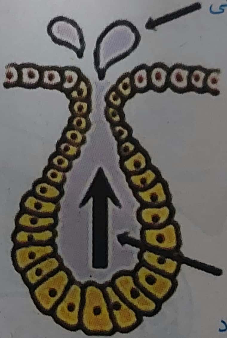 1000026049.jpg