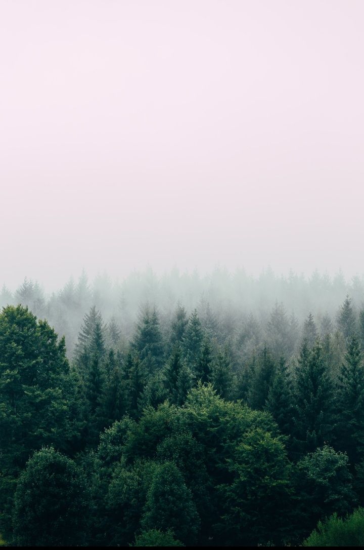 Screenshot_۲۰۲۵۰۳۲۹-۱۱۲۷۴۸_Gallery.jpg