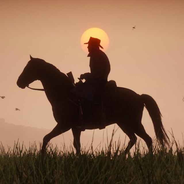 what-was-your-reaction-to-the-rdr2-ending-did-you-cry-v0-kff3r4xlvbca1.jpg