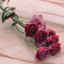 zohreh1111