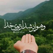 akramme5241gmail.com