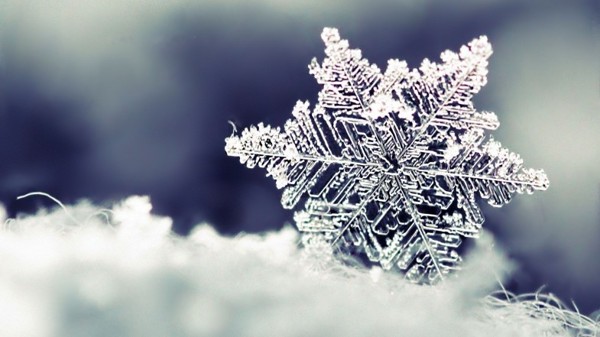 0_1482269650655_winter-16.jpg