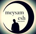 meysm8957